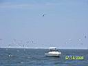 GCOffshore goes to Horn Island (69).JPG